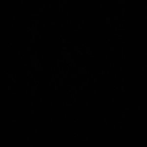 Meet your Posher, Stella